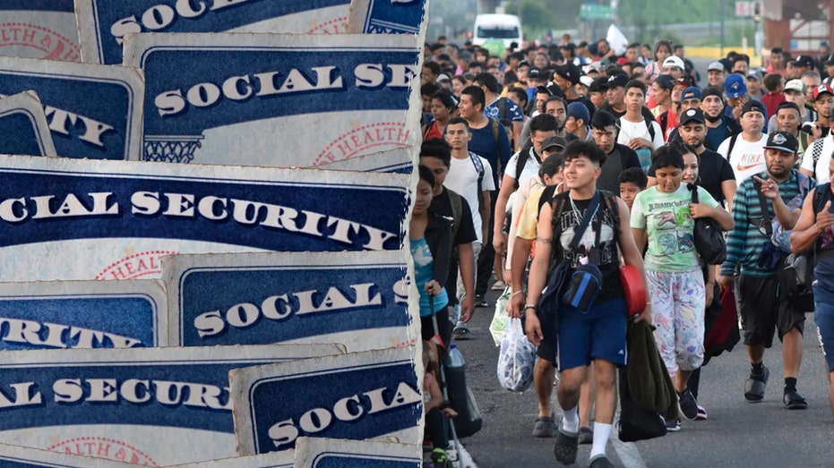 Musk shares ‘mind blowing’ chart showing millions of ‘noncitizens’ given Social Security numbers under Biden