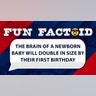 The brain of a newborn baby will double in size by their first birthday