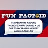 Temperature around the nose jumps during a lie due to increased anxiety and blood flow