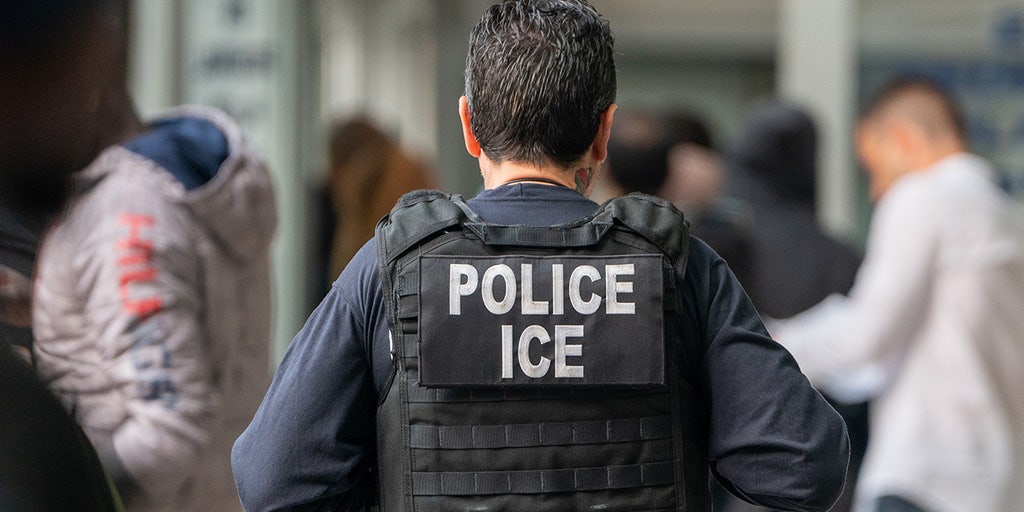 Chicago suspends online application website that allowed illegal immigrants to obtain IDs after ICE subpoena