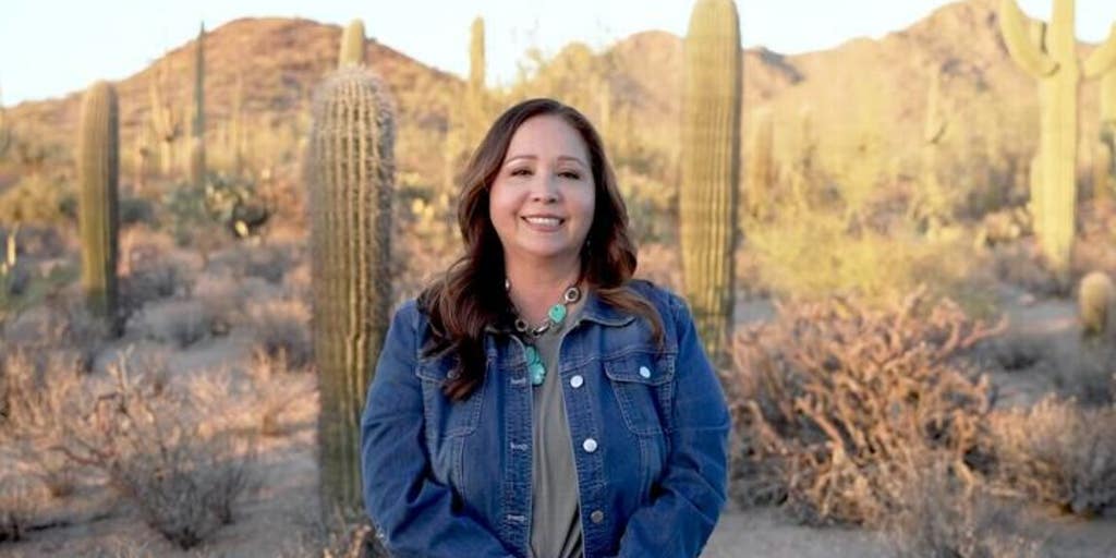 Establishment-backed Democrat wins high-profile congressional primary in Arizona