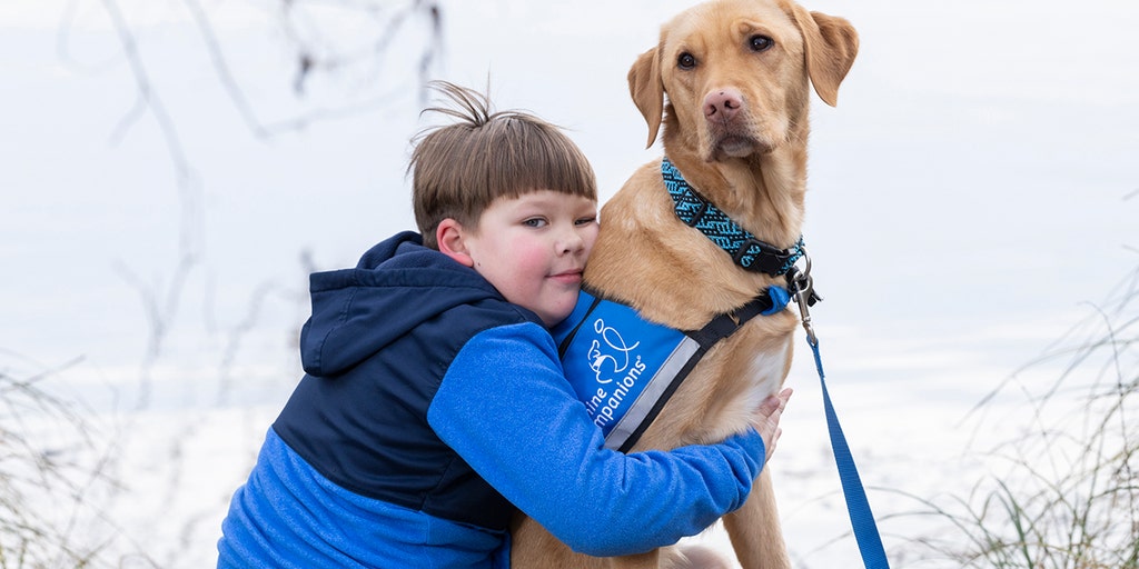 Kids with autism supported by service dogs, as research and families note 'incredible changes'