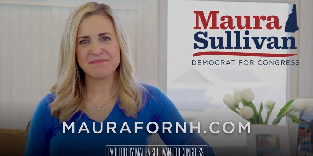Marine vet takes aim at Trump, Musk in video launch for key swing House seat