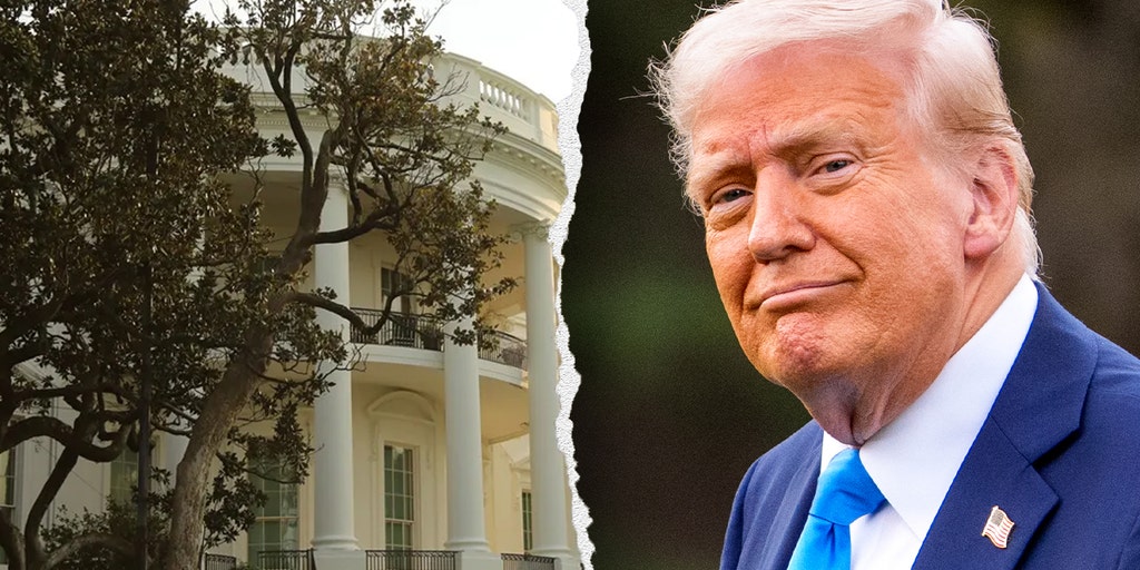 Does President Trump really need to cut down Andrew Jackson's magnolia tree? Expert weighs in