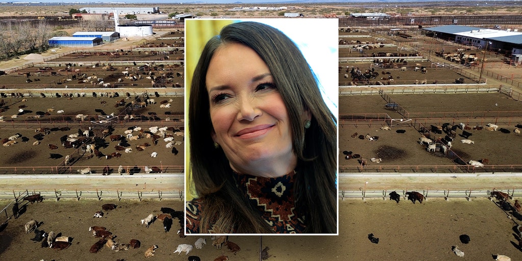 USDA threatens to halt Mexican beef imports over flesh-eating fly crisis