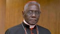 FILE - Cardinal Robert Sarah appears for the presentation of Cardinal Raymond Leo Burke's book Divine Love Made Flesh, in Rome, on Oct. 14, 2015. - Fox News