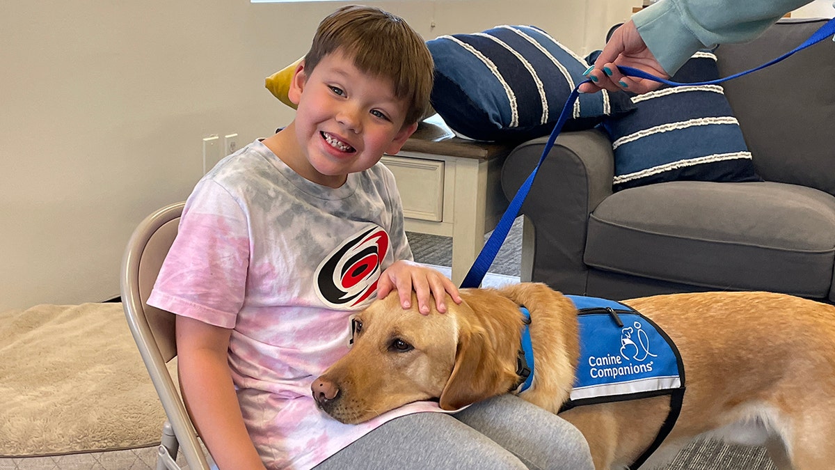 service dog kalvin lays his head on evan's lap