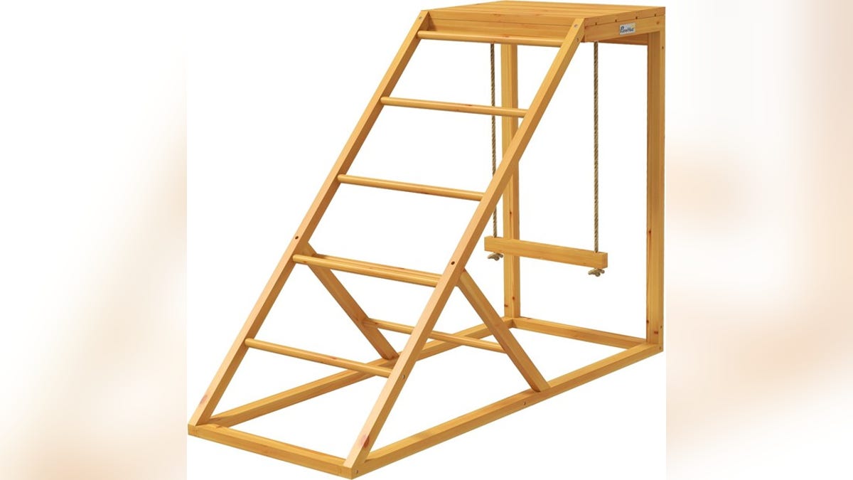 This staircase and swing set will provide plenty of fun for your chickens.?