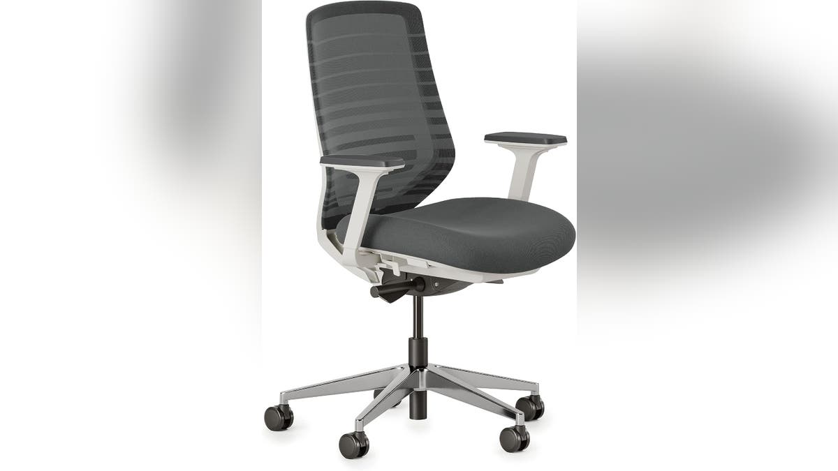 The Branch ergonomic chair at Amazon combines a sleek design with ergonomic back support.