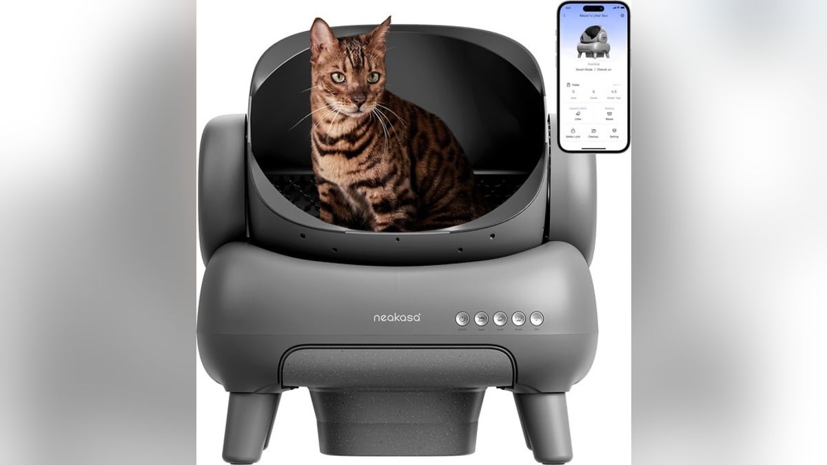 If your feline is enclosed-design averse, nan Neakasa M1 astatine Chewy offers a spacious, open-top creation that reduces feelings of confinement.