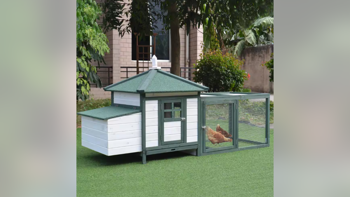 A small coop that's the perfect beginner coop.?