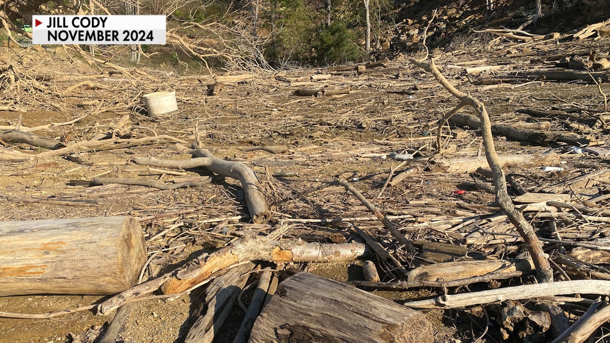 Hurricane Helene debris on Douglas Reservoir