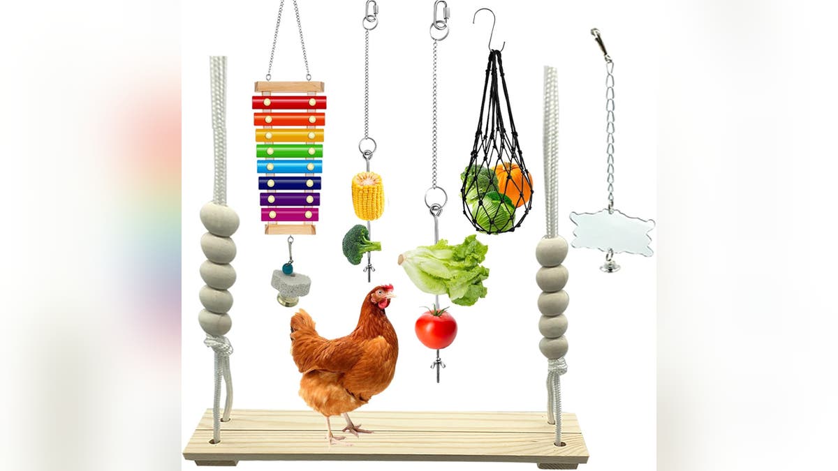Keep your chickens entertained with these toys. 