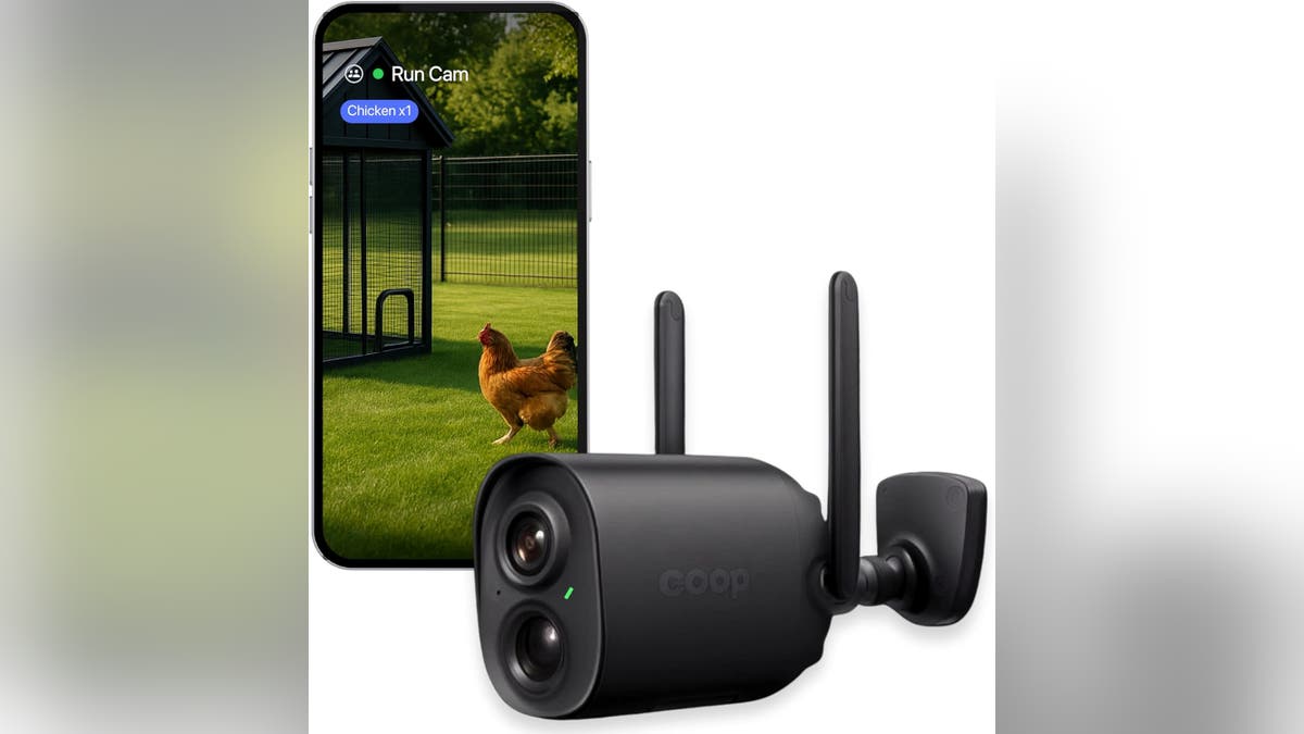 Keep an eye on your chickens with a smart camera. 