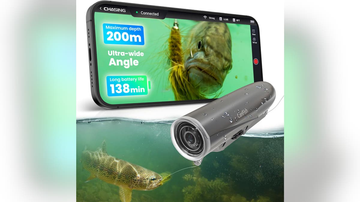 See what's going on under the surface.