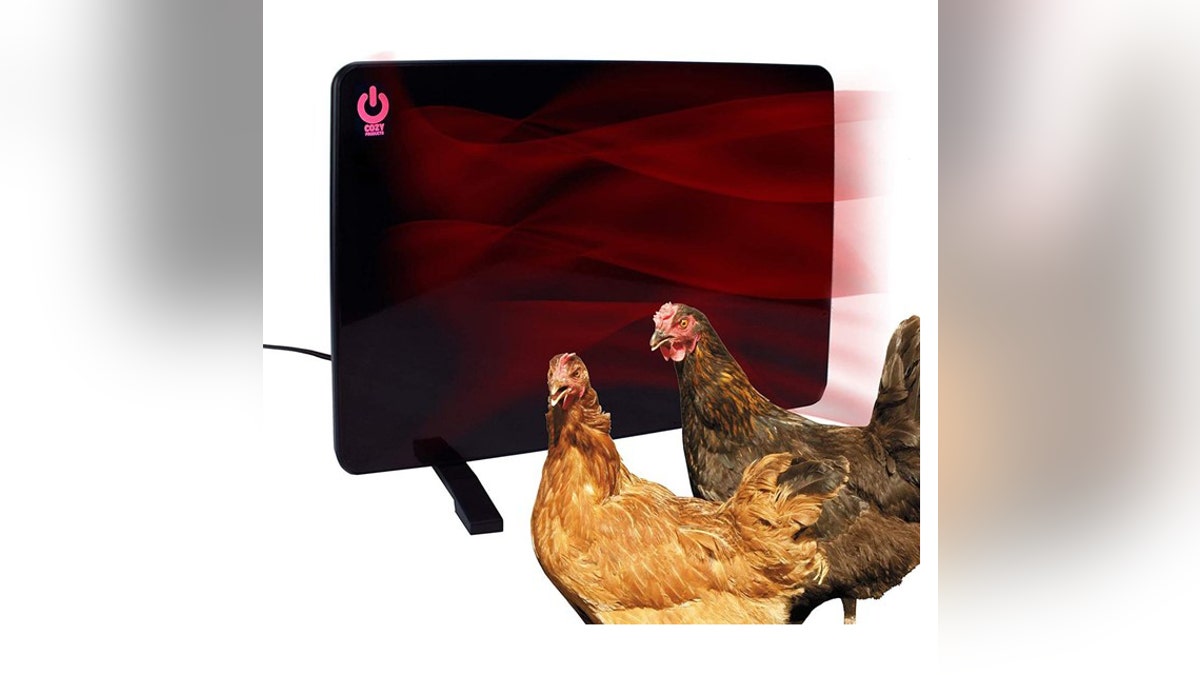 Keep your chickens warm during colder weather.?