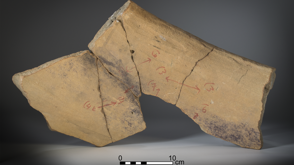 Ancient purple dye factory dating back to biblical times unveiled in Israel Fragments of vats