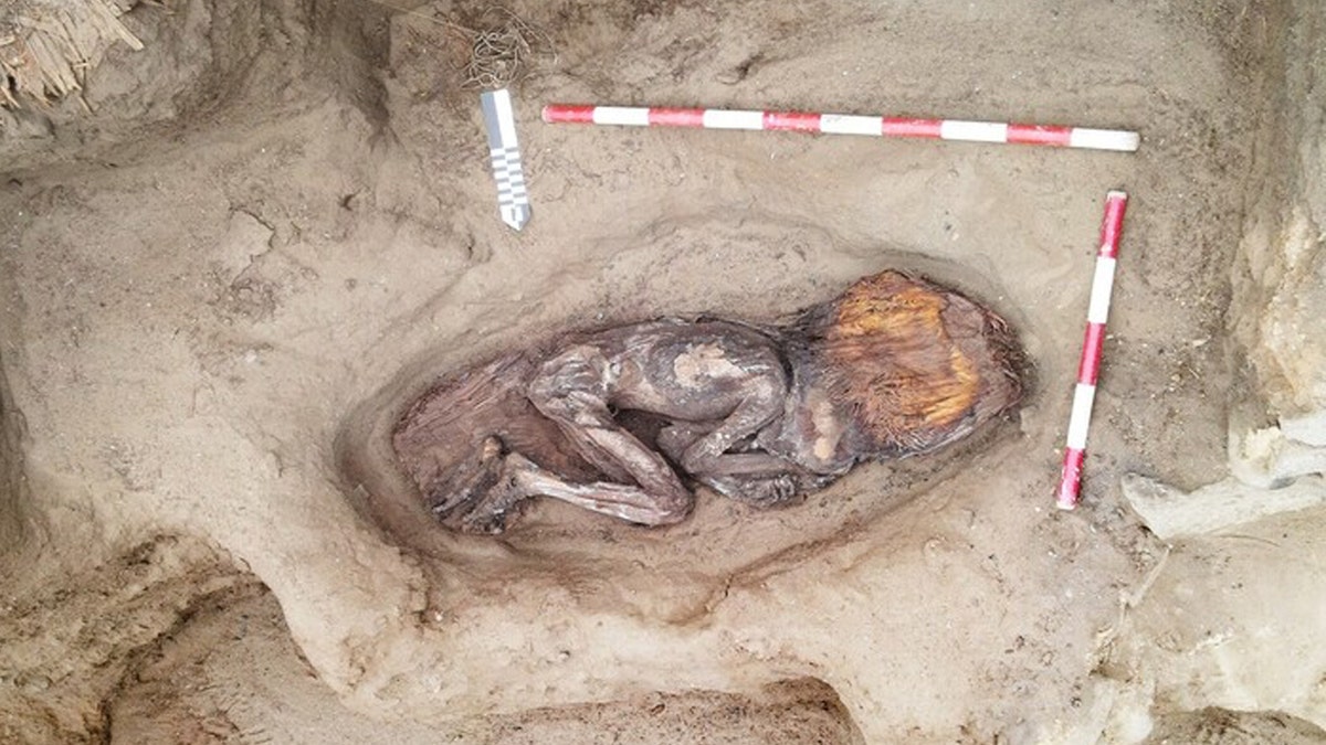 ancient-peru-woman-remains