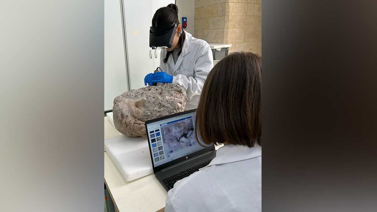 Recently discovered stone head