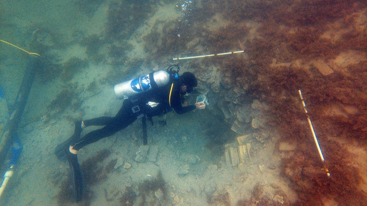 Diver looking at shipwreck