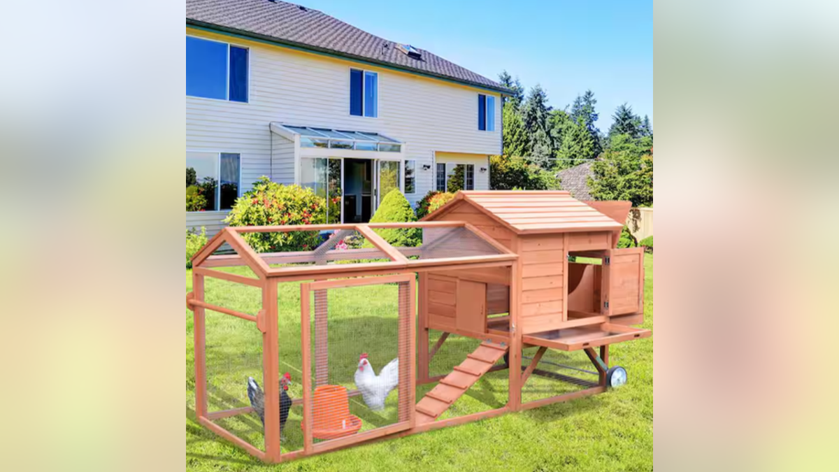 A durable wooden coop and run.?