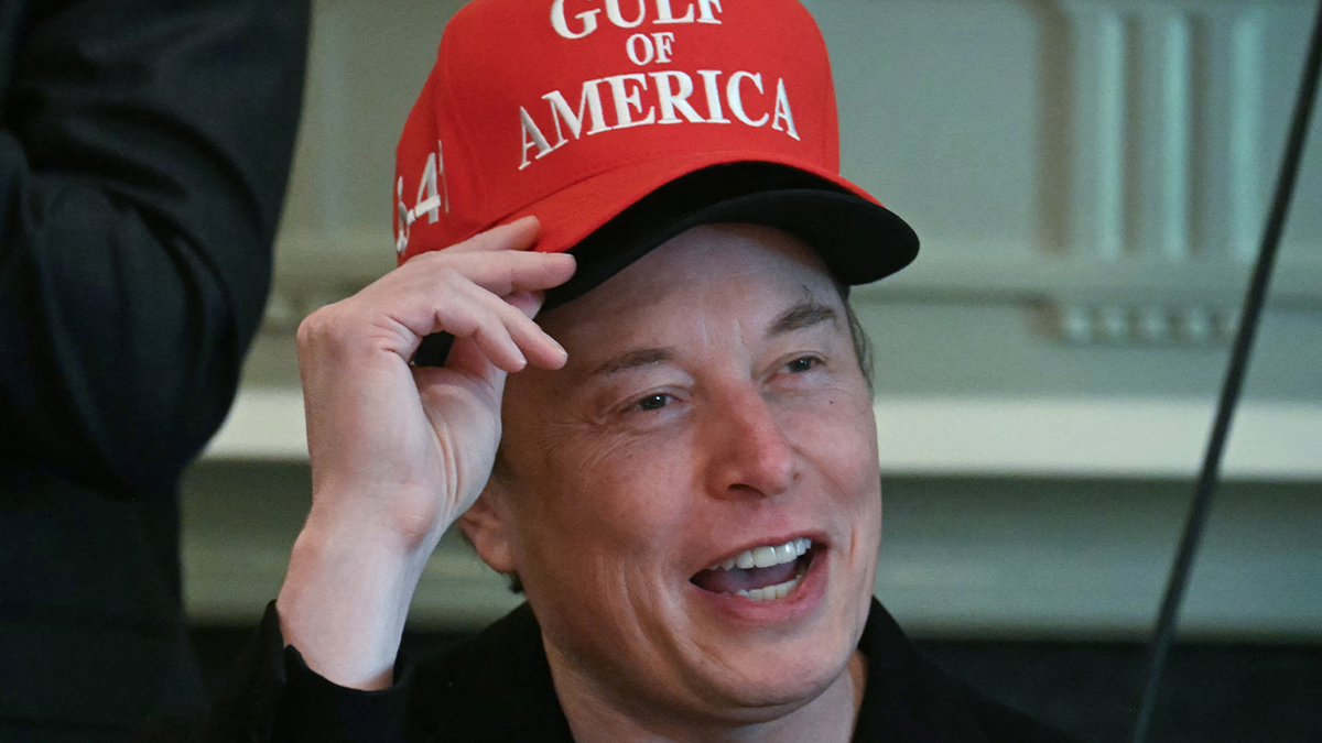 Elon Musk two hats