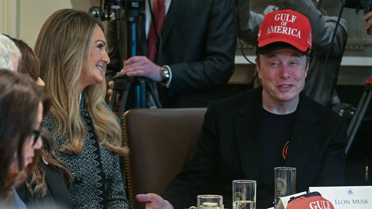 Elon Musk in Cabinet
