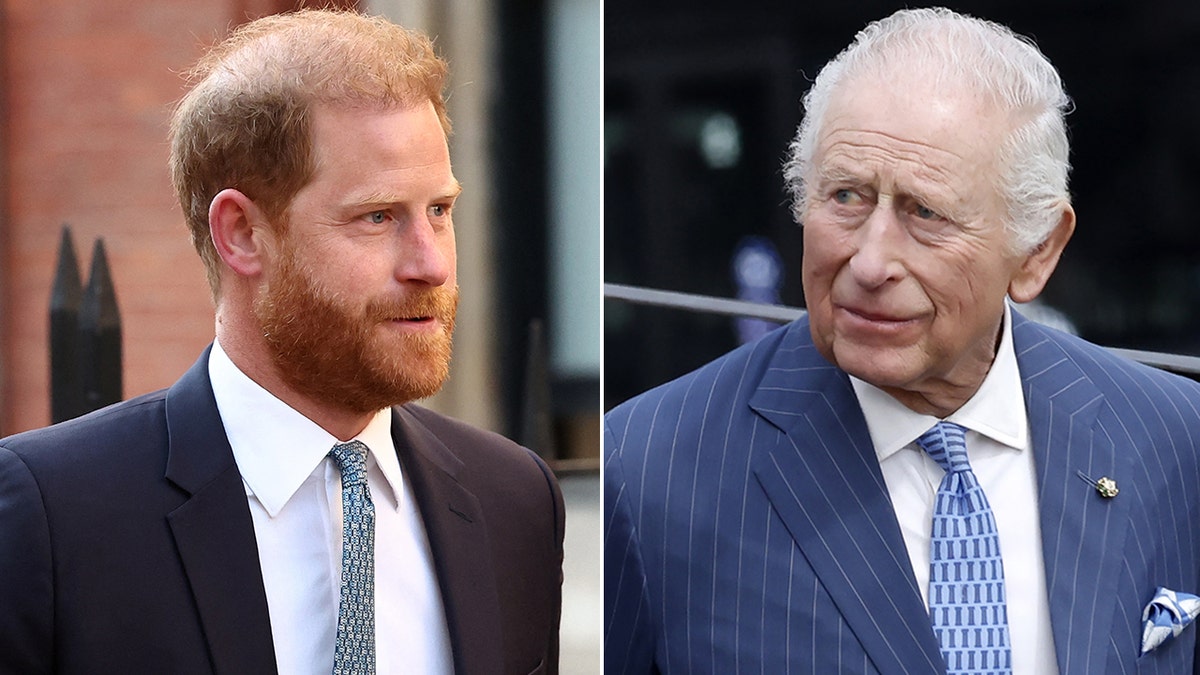 Prince Harry and King Charles sort image