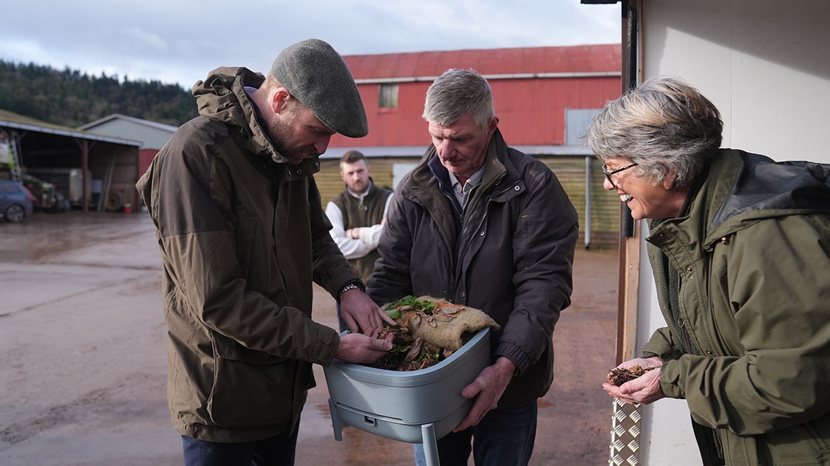 Prince William looking a composting.