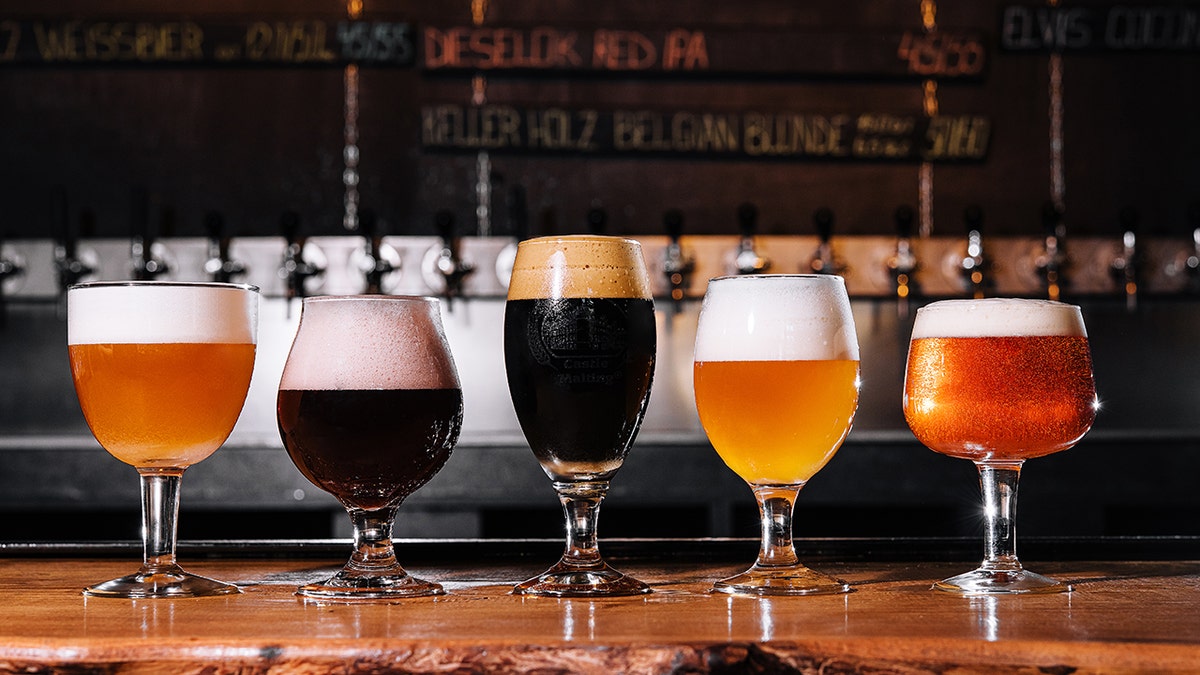 Beer glasses of many varieties with different colors and types of beer, all lined up along a bar