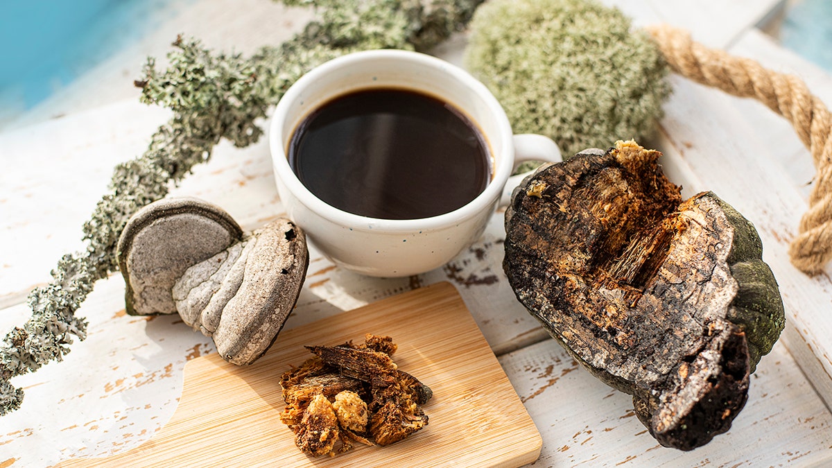 Dried chaga mushrooms and a cup of coffee