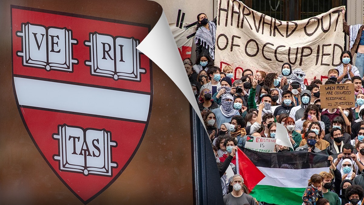 Harvard logo, anti-Israel demonstration photo mashup