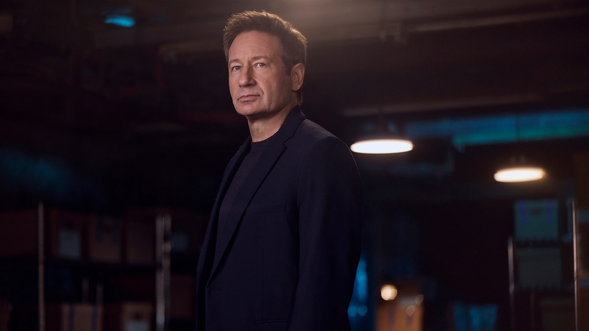 David Duchovny looking to the side in a dark blazer and matching shirt.