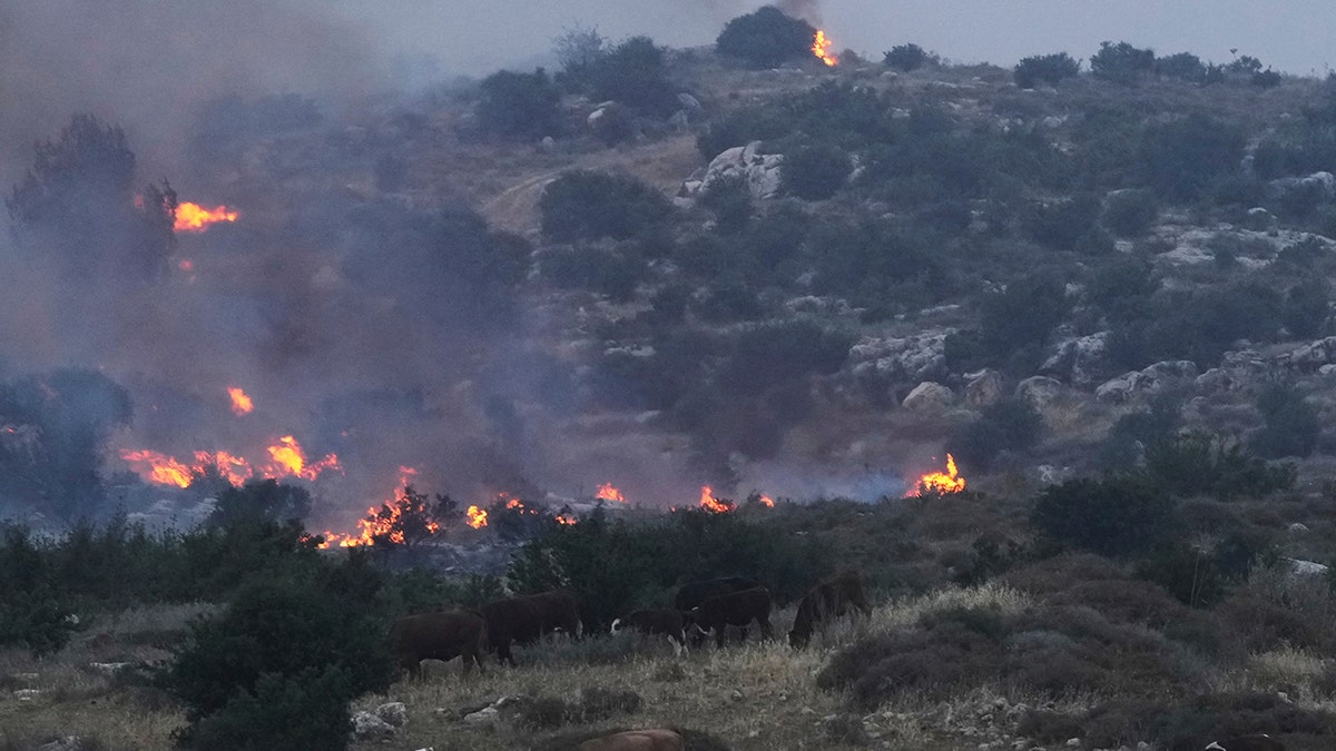 Israel wildfires