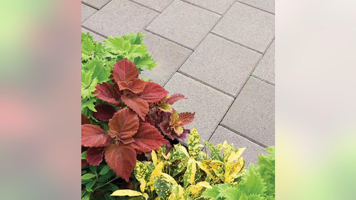 Create a walkway or patio with a palette of concrete stones.