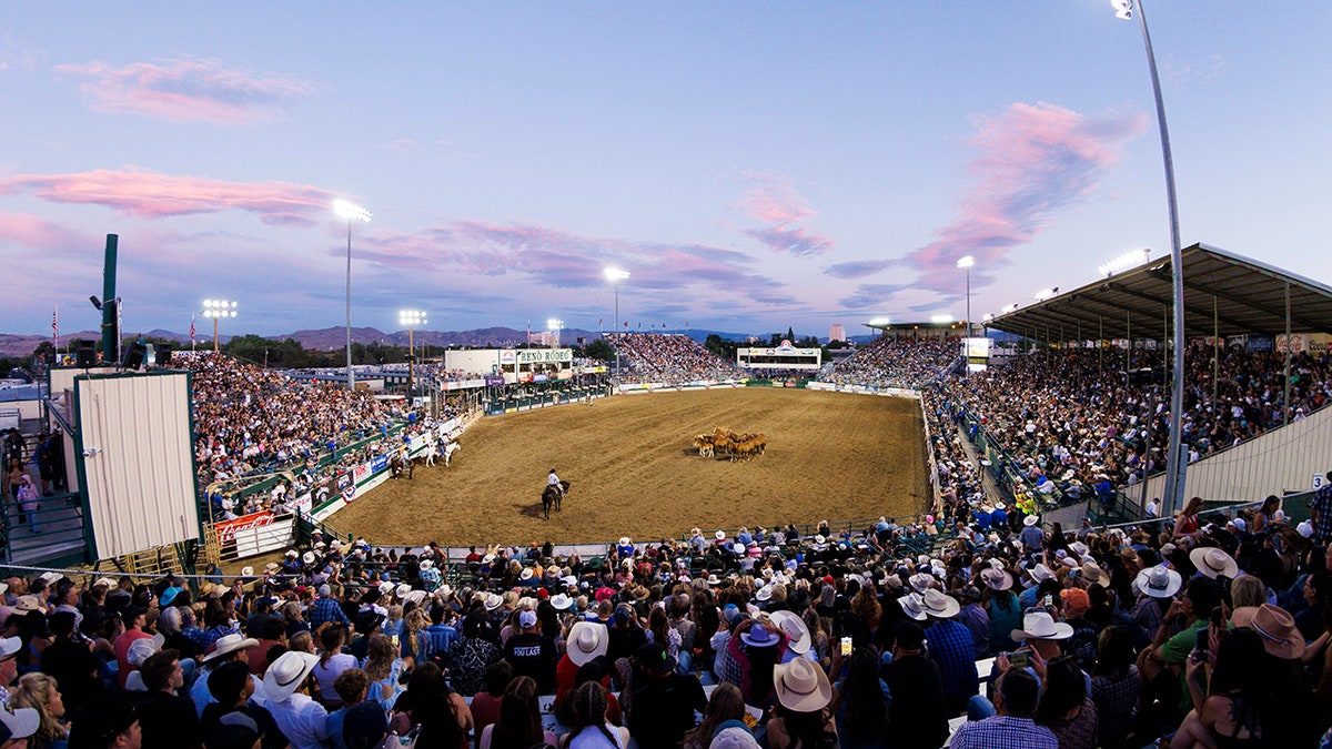 Rodeo