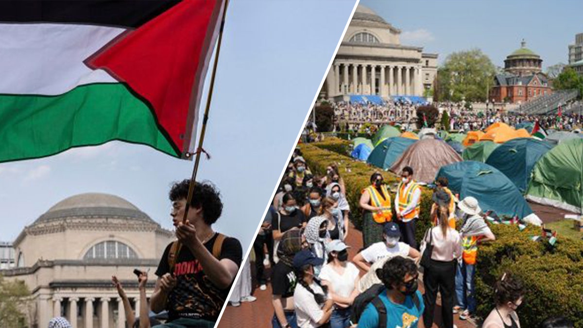 Man waving a Palestine flag. Protests on campus