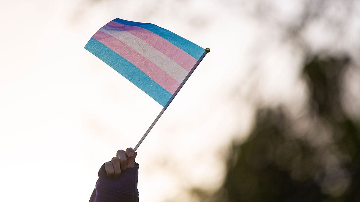 Bandeira trans manifestante