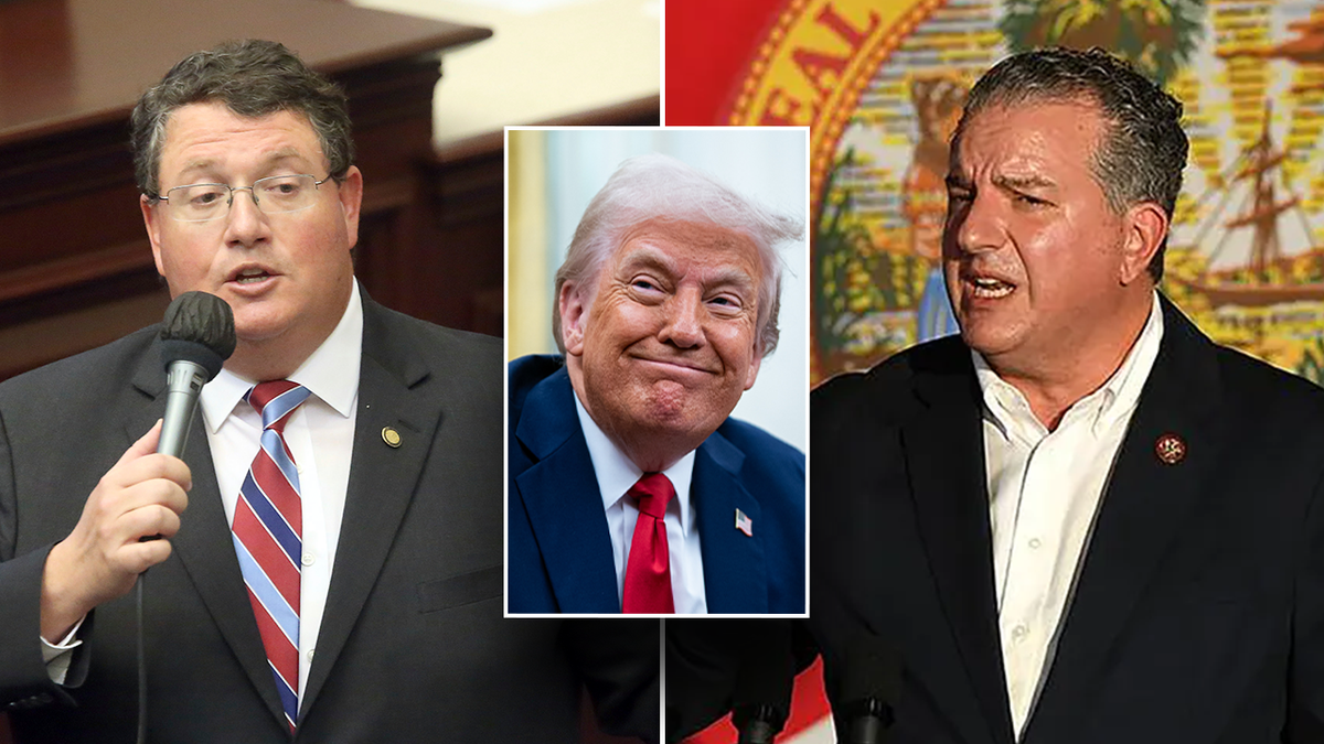 Randy Fine, Jimmy Patronois, Donald Trump