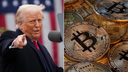 New Trump-linked consulting firm launches in DC to navigate crypto, AI : 'Trust, connected voice'