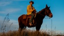 Tom Green ditches Hollywood for farm life after wild ride to fame