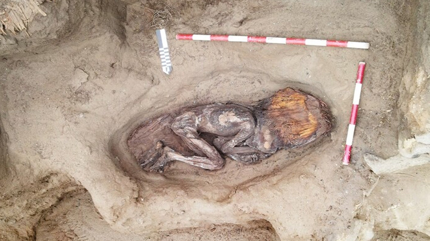 ancient remains peru woman