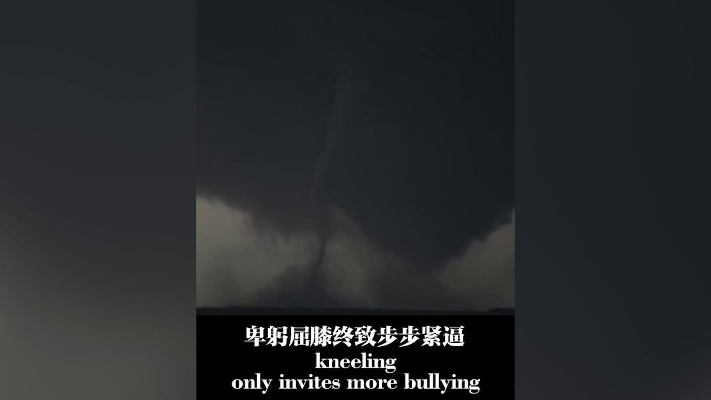 chinese government video claims the u.s. does not represent the entire world on trumps 100th day in office 6