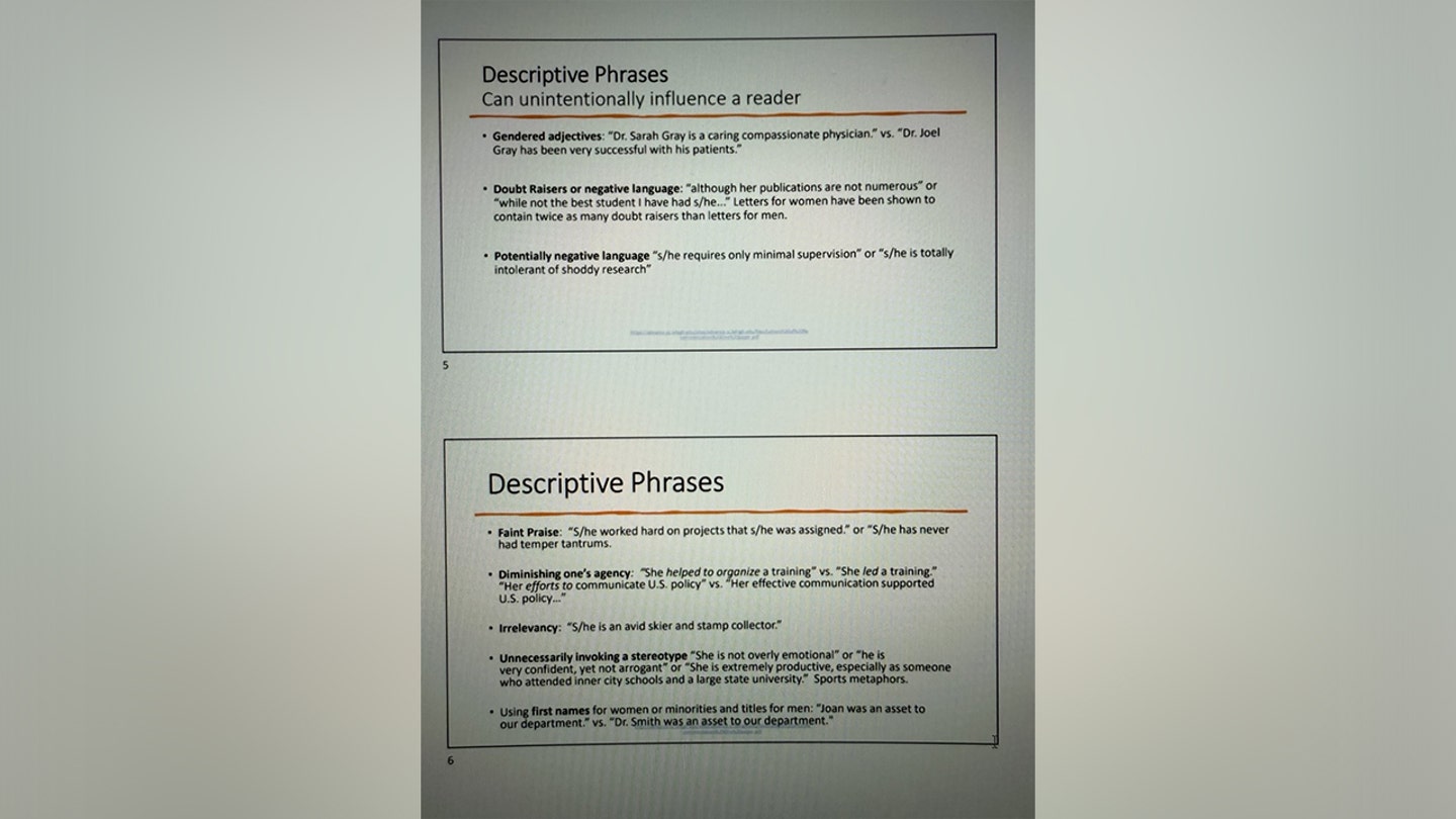 state department dei slides