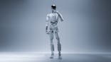 Iron the robot 1