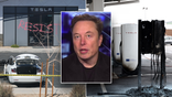 Collage of Elon Musk and Tesla protests.