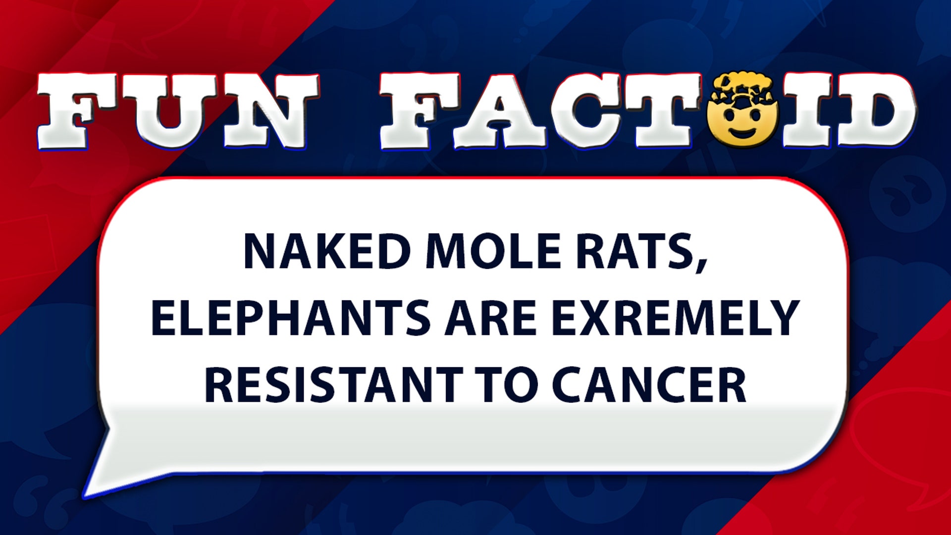 naked mole rats, elephants are extremely resistant to cancer