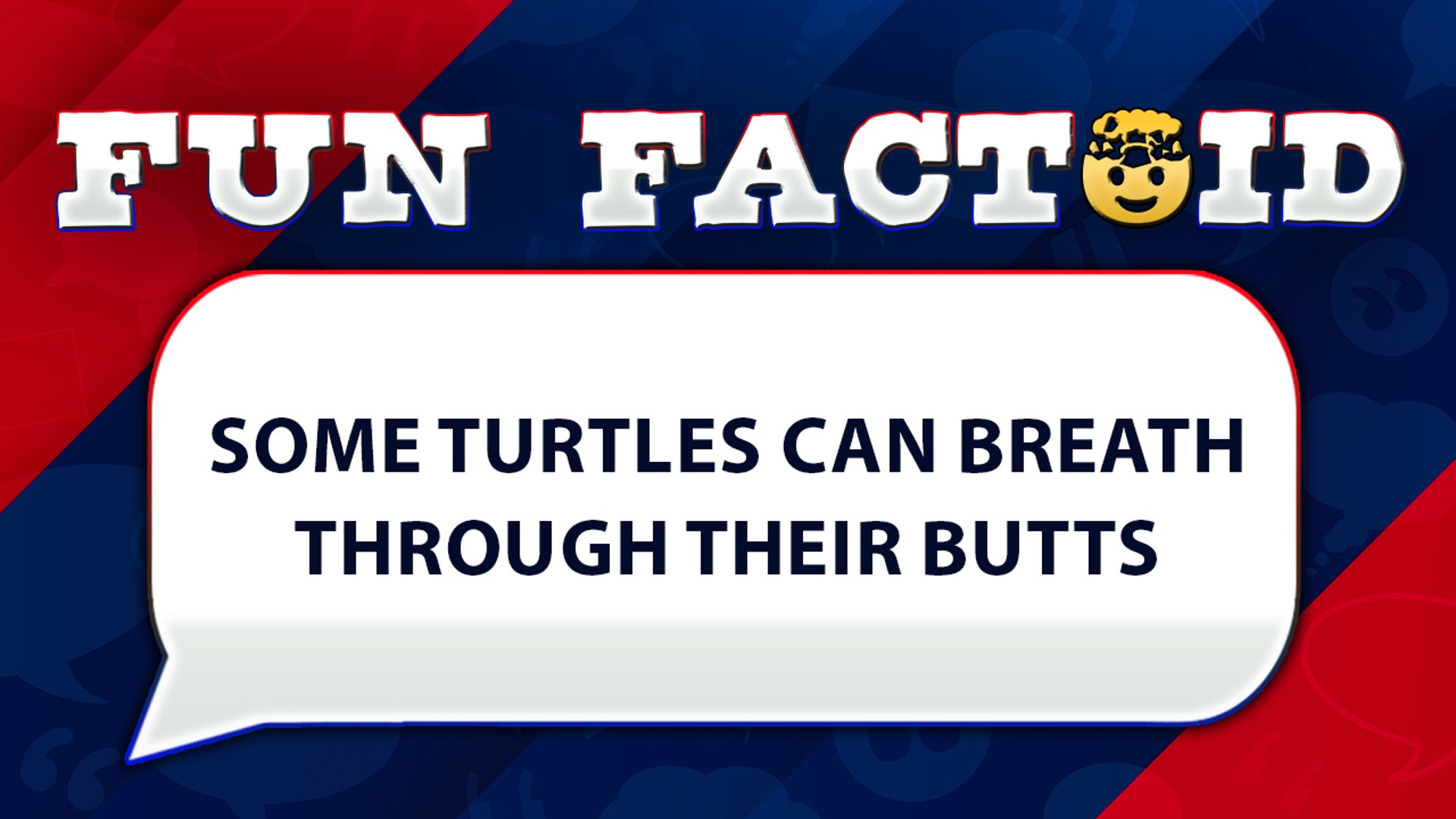 Some turtles can breath through their butts