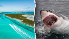 Travel warning issued for popular tropical destination over crime concerns, sharks