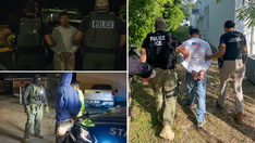 Nearly 800 illegal aliens arrested in massive Florida ICE operation: 'Tidal Wave'